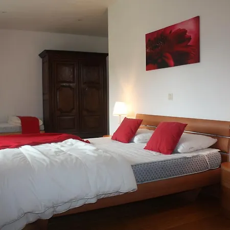 Large Cozy With Cinema Cierreux