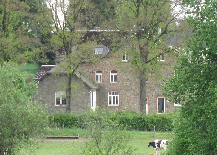 Bovigny With Cinema *